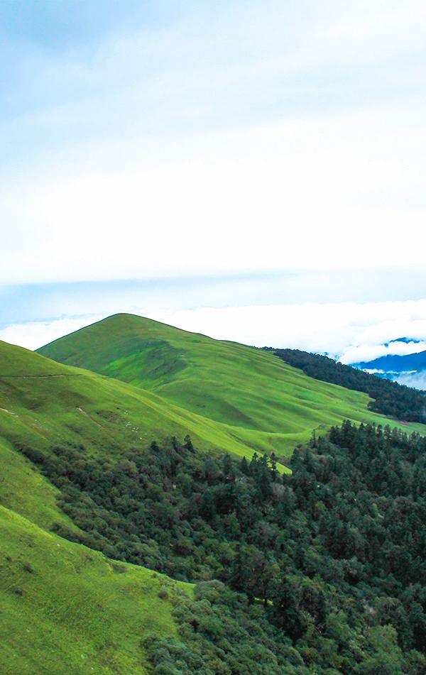 Ali Bedni Bugyal Trek